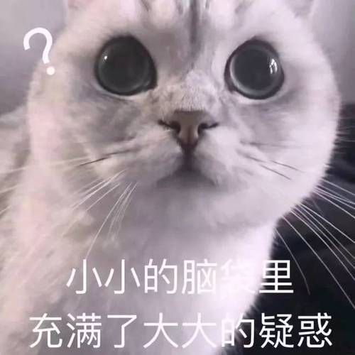 小小的脑里,充满了大大小疑惑(猫咪问号)_脑里_猫咪_问号_疑惑_小小的
