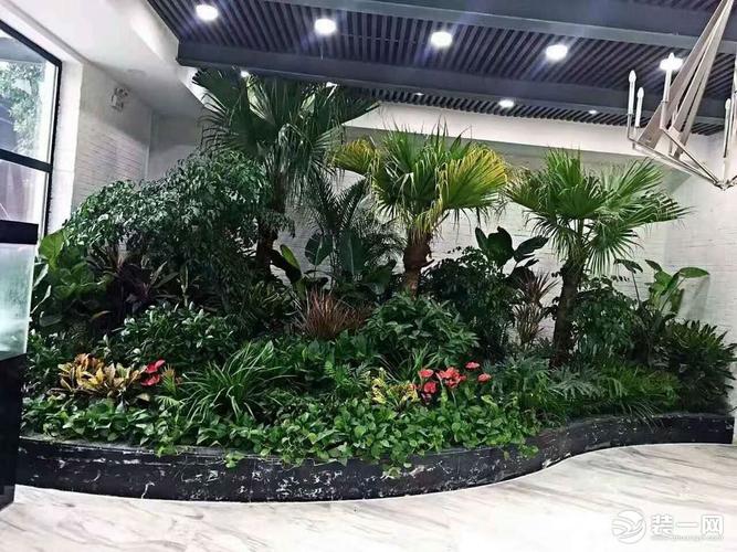 办公室花卉图片