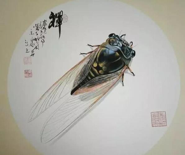 浅析工笔花鸟画蜻蜓与蝉技法教程