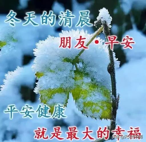 最新创意唯美的冬日早安祝福图片带字温馨早上好问候祝福图片精选