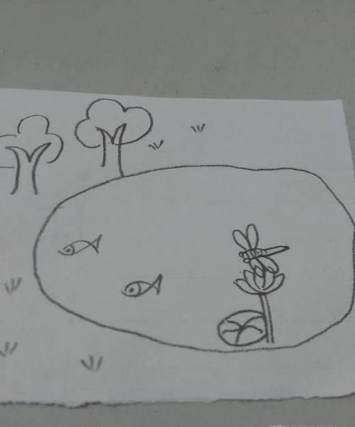 美丽的小池塘简笔画画法