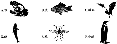 如图为六种动物形态图(大小无比例关系),请据图完成(1
