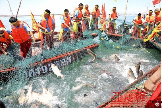 博斯腾湖第十届捕鱼节开幕