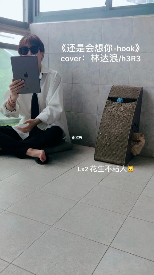 《还是会想你》cover:林达浪/h3r3_上海自由行热门攻略_音乐_自如怎么