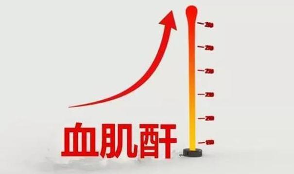 护肾讲堂丨不躺平不畏惧血肌酐增高照样可以活出精彩人生