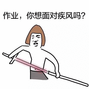 疾风_作业_面对表情