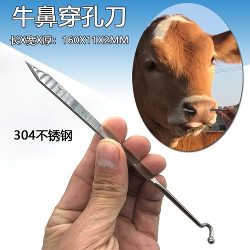 器具 红洛 牛鼻穿孔刀不锈钢牛鼻子犊牛牛鼻穿孔刀牛鼻钳刺孔刀打孔针