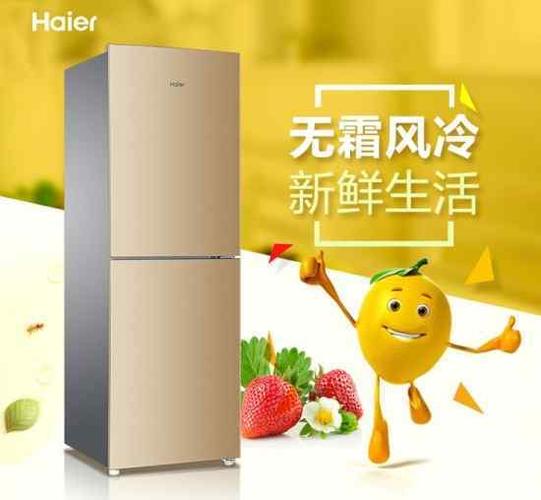 热销双门冰箱推荐榜快享受冰爽一夏