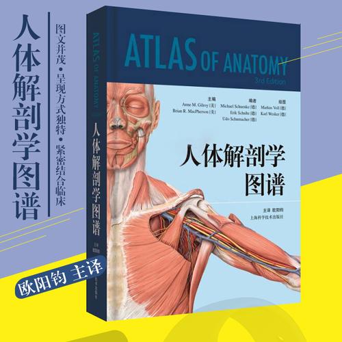 正版现货人体解剖学图谱2018年7月出版版次平装基础医学