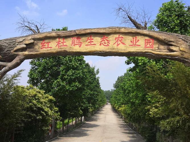 南京八卦洲