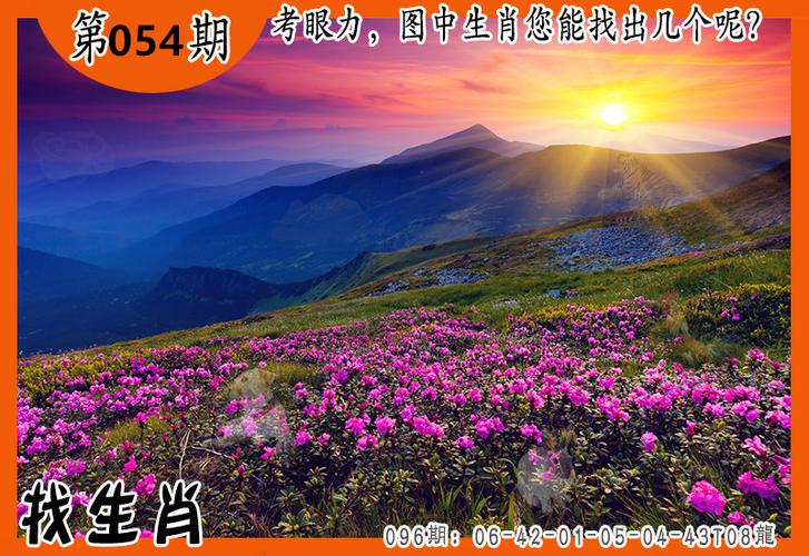 凤凰天机「看图找特码」