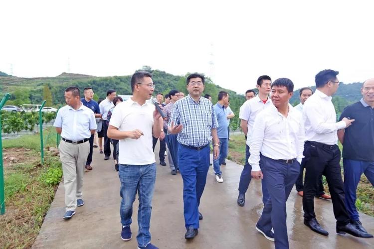 上海均瑶集团总裁王均豪,吉林新天龙实业股份有限公司董事长卢宪臣