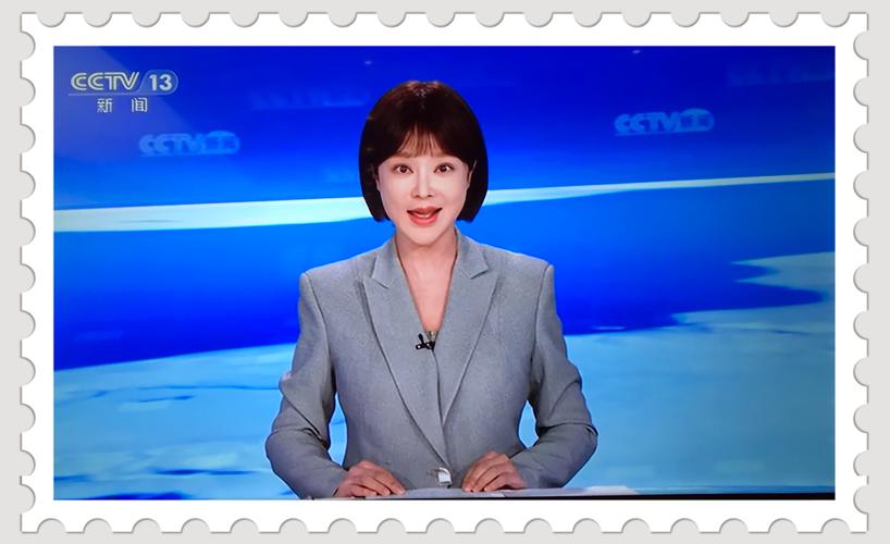cctv   《新闻直播间》主播