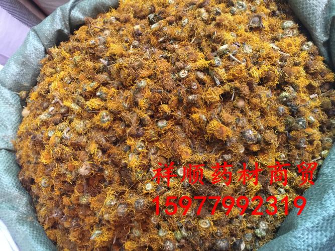 旋覆花 金佛花 金佛草 六月菊 旋复花 中药材批发