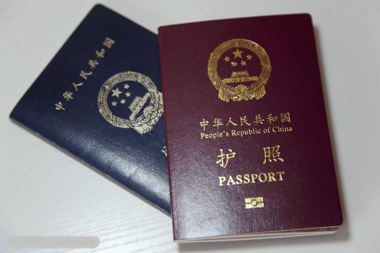 护照类型p是什么意思?