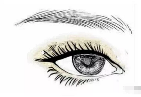 原创不同眼睛的男人面相特征解析