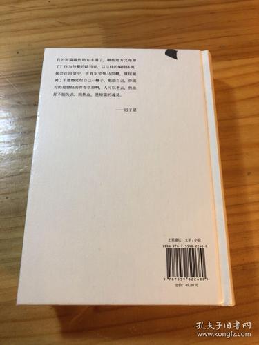迟子建作品炖马靴短篇小说30年精选