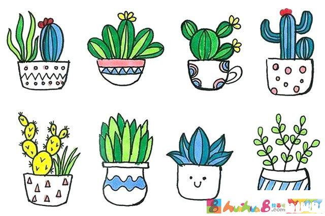 盆栽植物手绘简笔画图片大全
