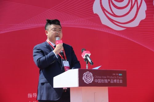 国商控股集团董事长 车健