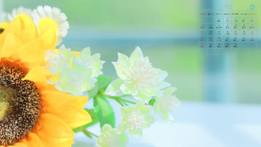 电脑壁纸 节日 月历壁纸 2022年3月清新系日历