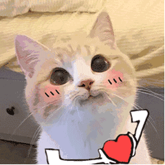 表情包 微信搜索:呆图青年 表情包  gif动图  图片制作  精选头像