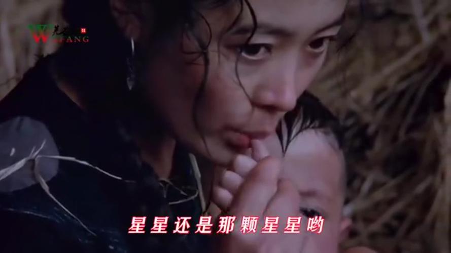 孙国庆经典《篱笆墙的影子》旋律优美,句句动人,满满的生活气息
