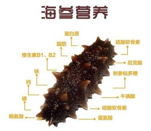 孕妇产妇吃海参,安全最重要,到底什么时间吃最安全? 4.