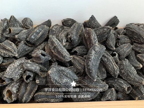 俄罗斯 海茄子 足干海茄子 海参皮 一斤装