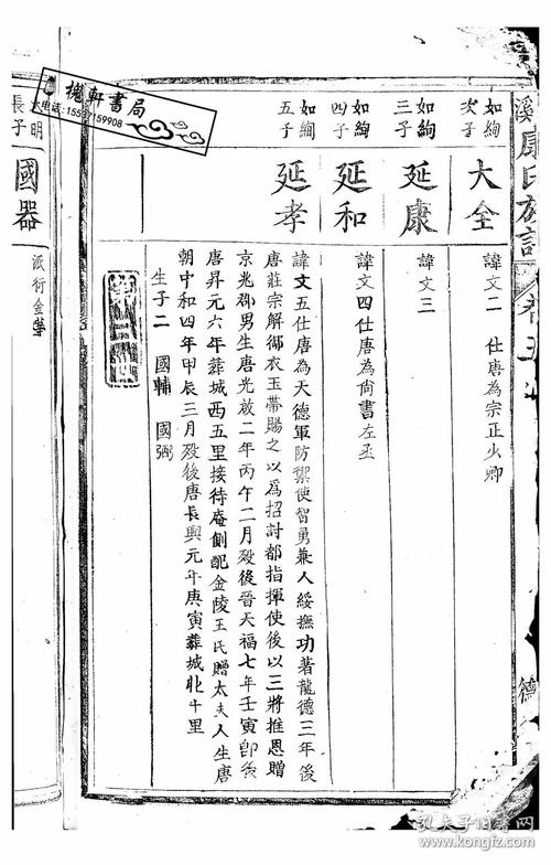 【复印件】棑溪康氏族谱-【江西-遂川】