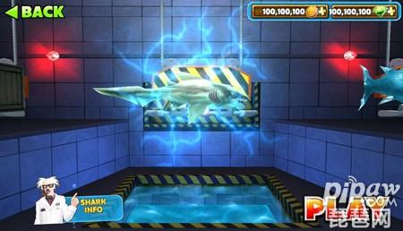 饥饿的鲨鱼进化电鲨可以吃船吗?