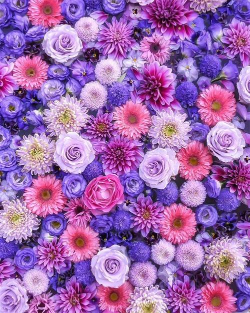 五彩缤纷满屏花