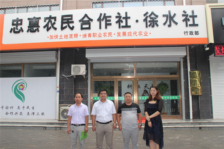 清苑县忠惠种植技术服务专业合作社