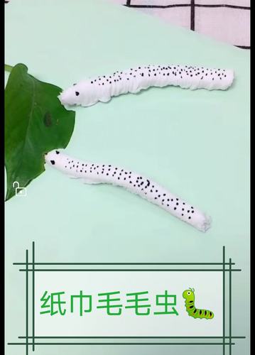 幼儿手工《纸巾毛毛虫》