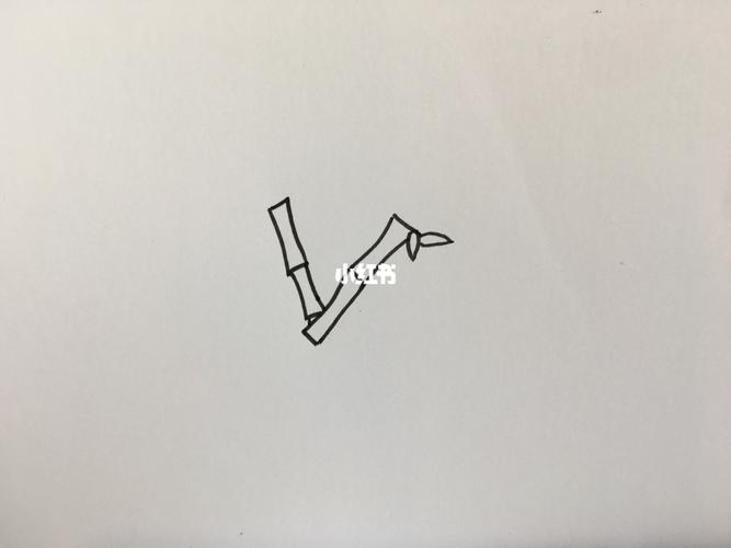 马克笔|竹子简笔画_简笔画_马克笔_简笔画教程_文化_绘画