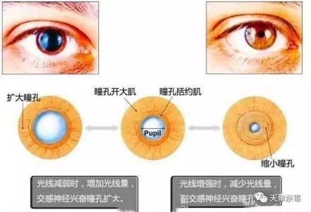 吸毒人的眼睛有什么特征?快看看