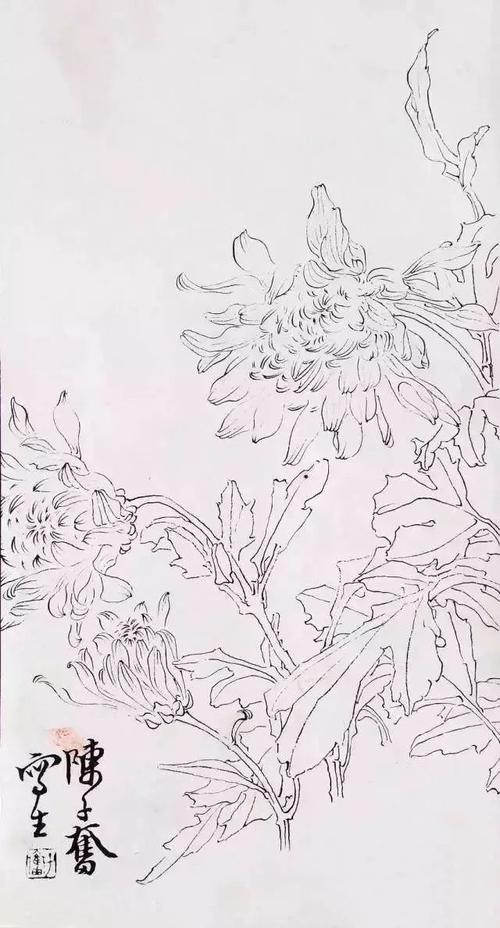 国画家陈子奋白描作品欣赏