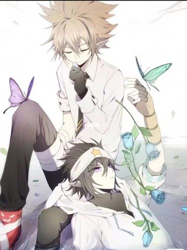 《蝴蝶海》雷安_嘉德艺术中心_雷安蝴蝶海_影视_动漫