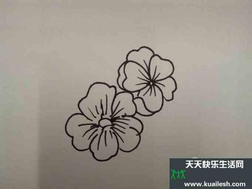 海棠花路灯简笔画