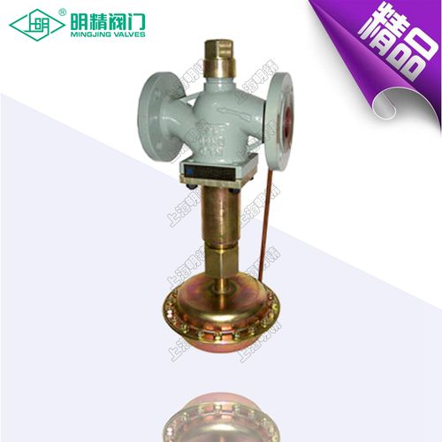 自力式自控流量调节阀