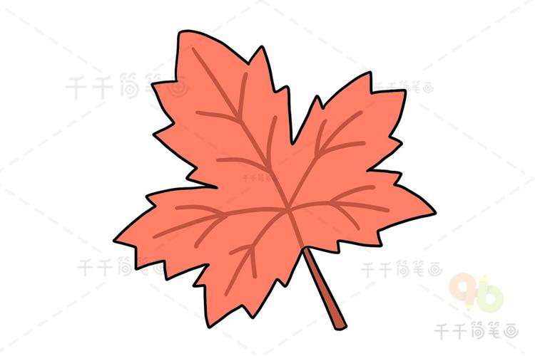 枫叶简笔画小朋友们一学就会