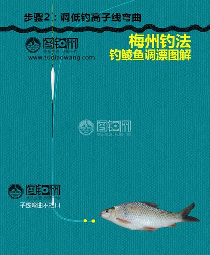 梅州钓法钓鲮鱼调漂图解