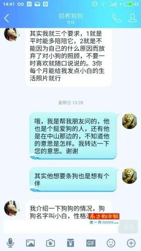 "狗主"与林先生的聊天记录.受访者供图