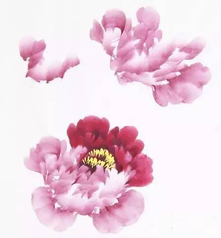 图一 二乔牡丹画法:   二乔是一种名贵品种,在同株同朵花头上呈现二种