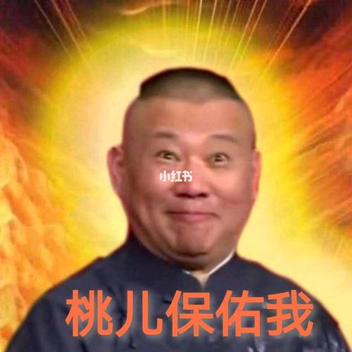 考试保佑_德云社