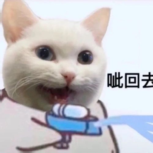 搞笑闺蜜头像会有憨憨跟你一起用吗