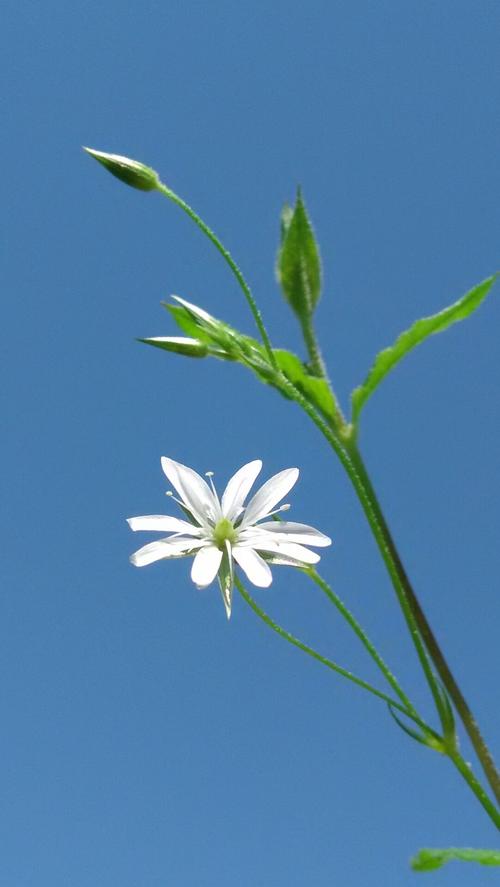 贵州省黔东南苗族侗族自治州丹寨县中华南路靠近南街中老年人娱乐室