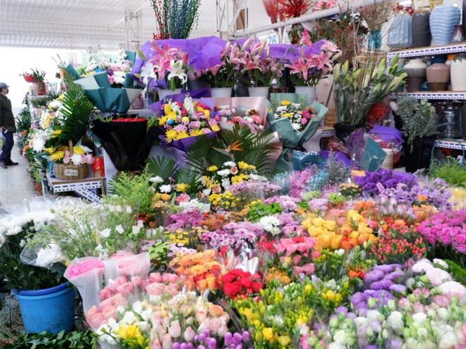 北京通州区最大的花市—八里桥 洋甘菊/玫瑰