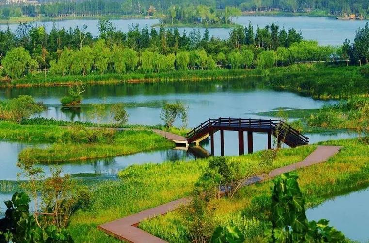 江苏微山湖湖滨省级湿地公园
