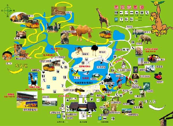 上海南汇野生动物园相关图片