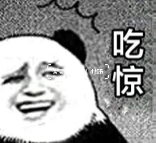熊猫头吃惊表情包